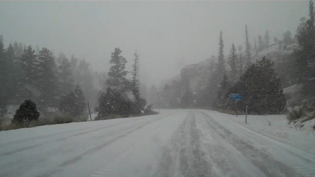 Blizzard on Highway 12