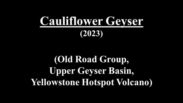 Cauliflower Geyser (2023)