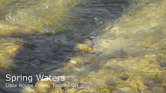 Spring Waters [2:40 mins]