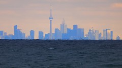Toronto Skyline with Lake Ontario Birds Flying - 4k Footage