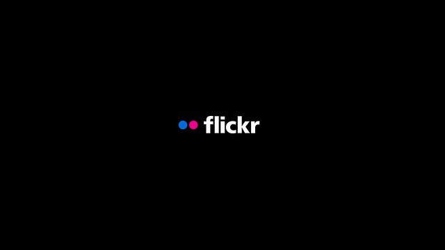 Celebrating 20 Years of Flickr - Where photos live