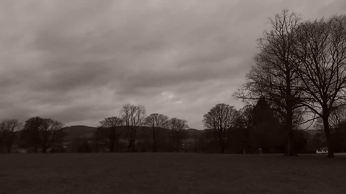 B&W at the Crichton
