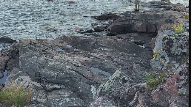 Videoprojekti 10