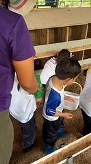 VISITA A LA GRANJA - INICIAL 2