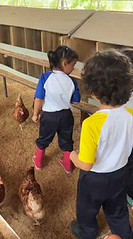 VISITA A LA GRANJA - INICIAL 2