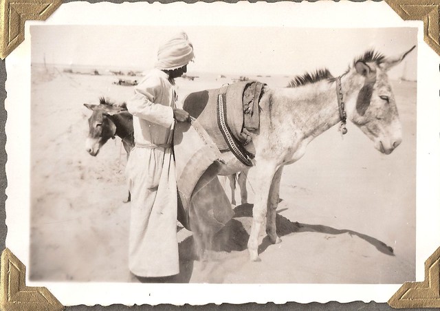 Kuwait...Persian Gulf Region; about 1950