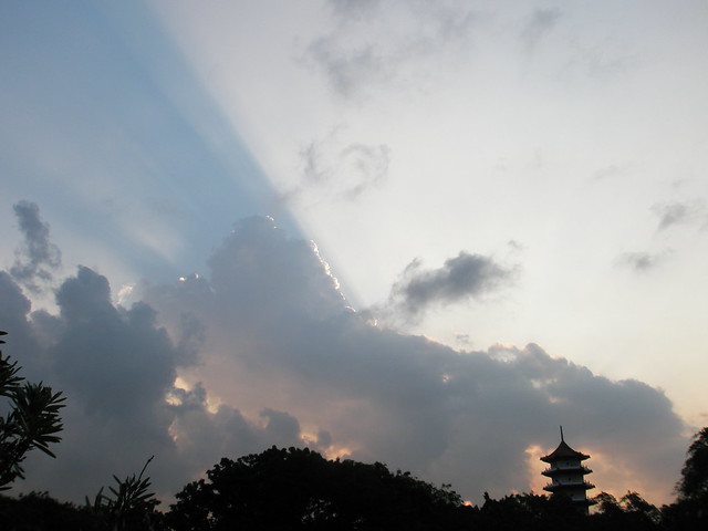 Jurong Lake Park ray of light