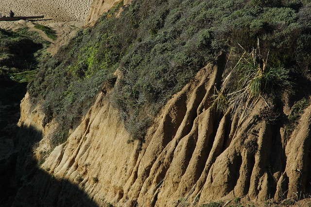 Cliffs and sand at Gray Whale Cove Beach, California, USA 0097
