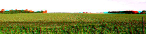 food plant rural stereoscopic stereophoto 3d spring farm scenic anaglyph anaglyphs redcyan 3dimages 3dphoto 3dphotos 3dpictures stereopicture