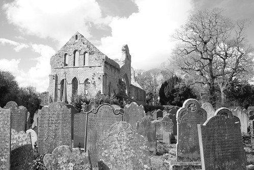 Greyabbey graveyard by yamahagarn