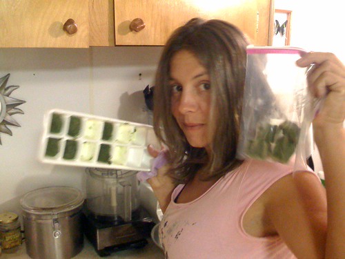 Pesto Cube bagging | by Mikey Sklar & Wendy Tremayne