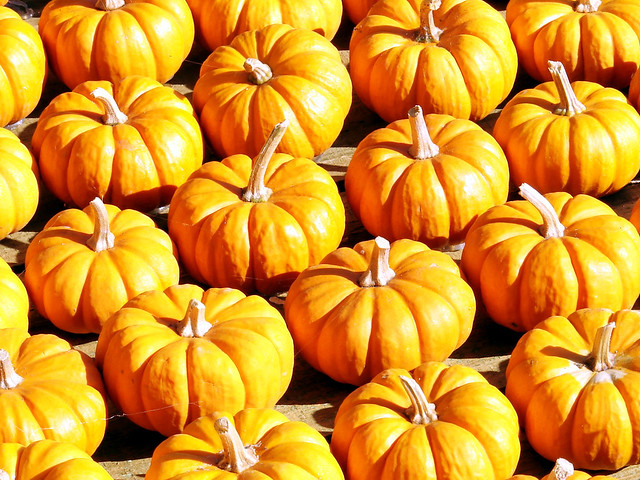 Attack of the Pumpkin Army