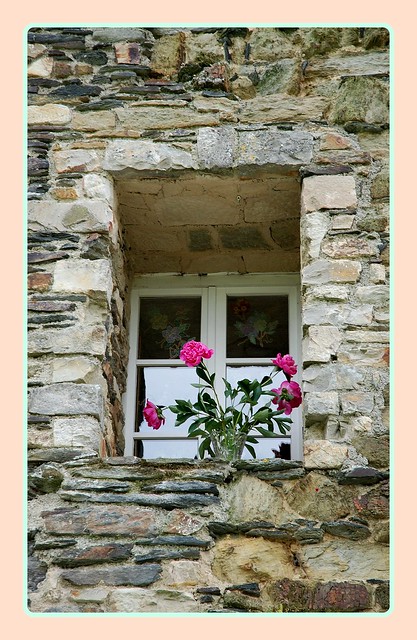19 mai 2008 Vitré Promenade sous les murs du château Des fleurs sur le bord d'une fenêtre