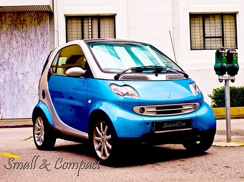 Smart for Two | by kdubachelor