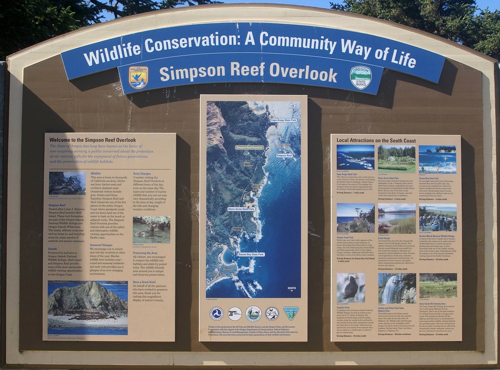 Simpsons Reef | Flickr