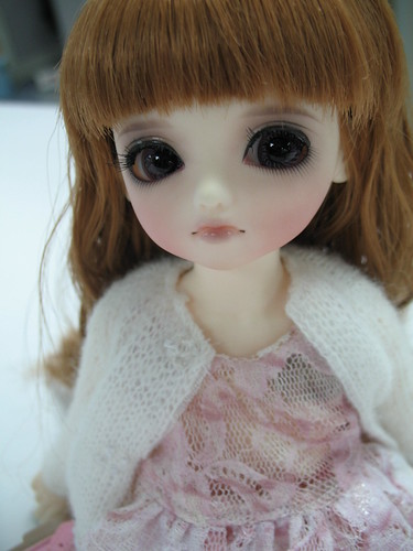 luts pudding 小忍 | by DaisyCT