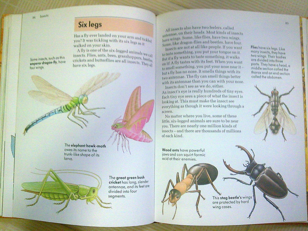 ChildCraft - Animal Encyclopedia - Inside Contents | Flickr