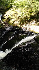 Lower Morgan Falls