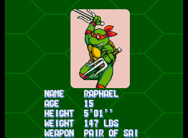Raphael Profile: Turtles in Time Arcade Game