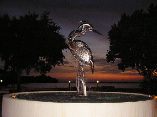 sunset heron birds florida wildlife scenic eustis