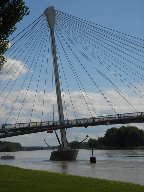 Un Pont sur le Rhin