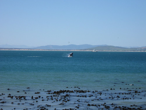 Cape Town