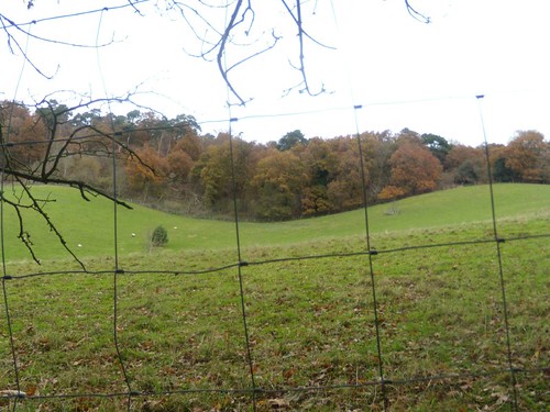 View through fencing Guildford Circular via Chantries Hill
