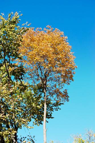 Blue Monday | Explore November 24th Our weather here has bee… | Flickr