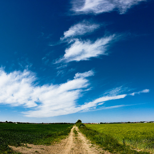 blue sky panorama white green field clouds square geotagged vanishingpoint track fresh fav 2008 450d efs1855mmf3556is geo:lat=52847129 geo:lon=11205585