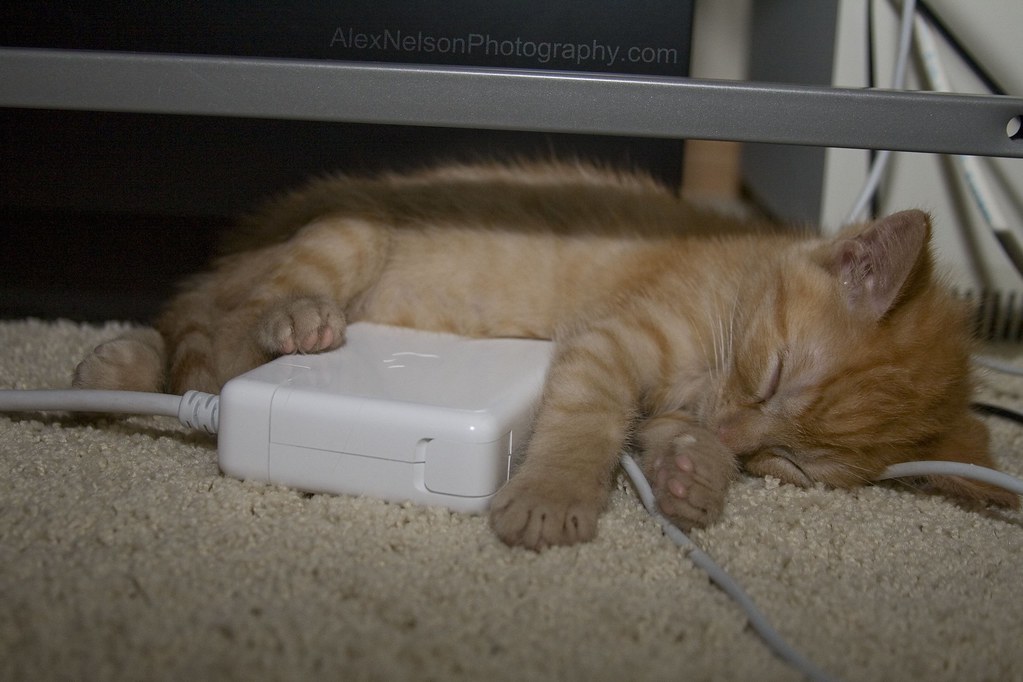 kitten sleeping under a desk on a computer charger box