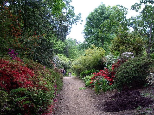 Path towards pond, Sir Harold Hillier Gardens