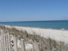 Cape Cod Sandy Neck Beach