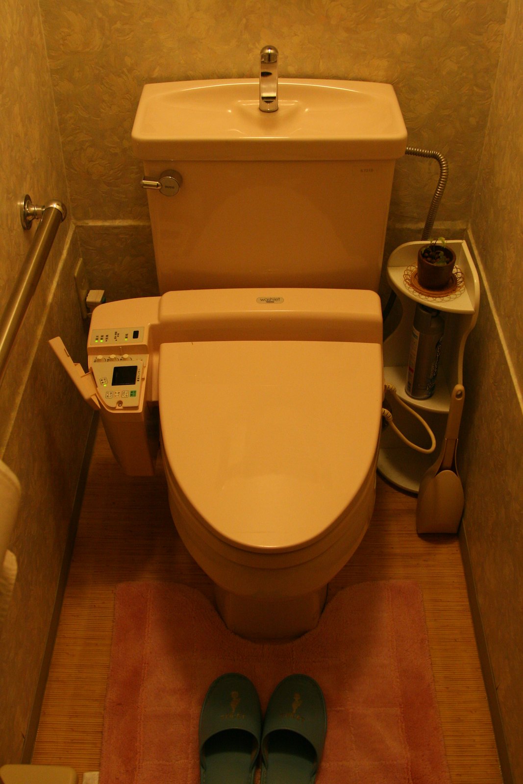 Future Toilet