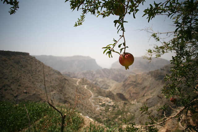 رمان الجبل الأخضر في عمان