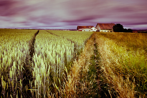 La vie des champs rétro | by SaGa | Photo