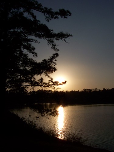 park sunset lake tree water creek mississippi flint wiggins