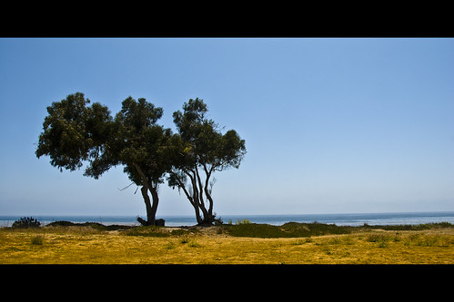 america usa california santabarbara goleta islavista windowtotheseapark sunny summer seasons landscape seascape ocean coast sky bluesky nature trees dry grass meadow colorful colors yellow green blue onecolor thecolorblue framed tl digital dslr d200 nikkor manganite utatafeature nikonstunninggallery geotagged geo:lat=34409601 geo:lon=119863125 date:year=2008 date:month=july date:day=25 format:ratio=21 18200mmf3556 repost1 format:orientation=landscape repost2 topf25 nikon pacific