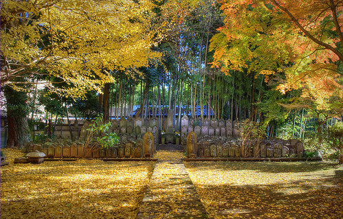 Tozenji Autumn colour 03 by Camera Freak