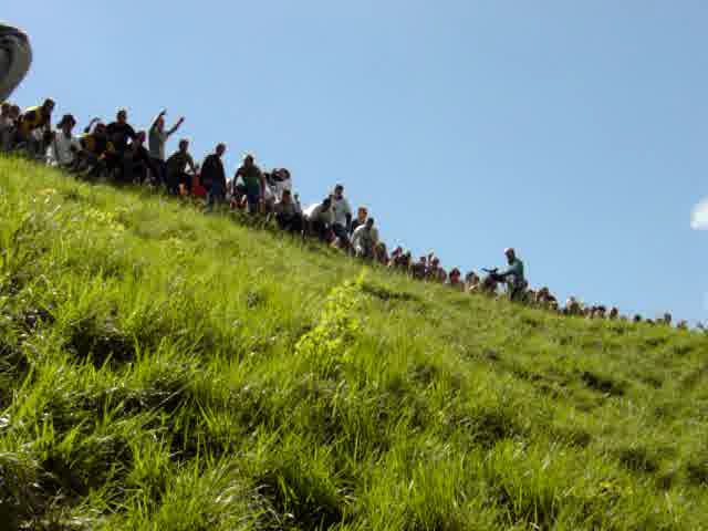 Cheese rolling (Video)