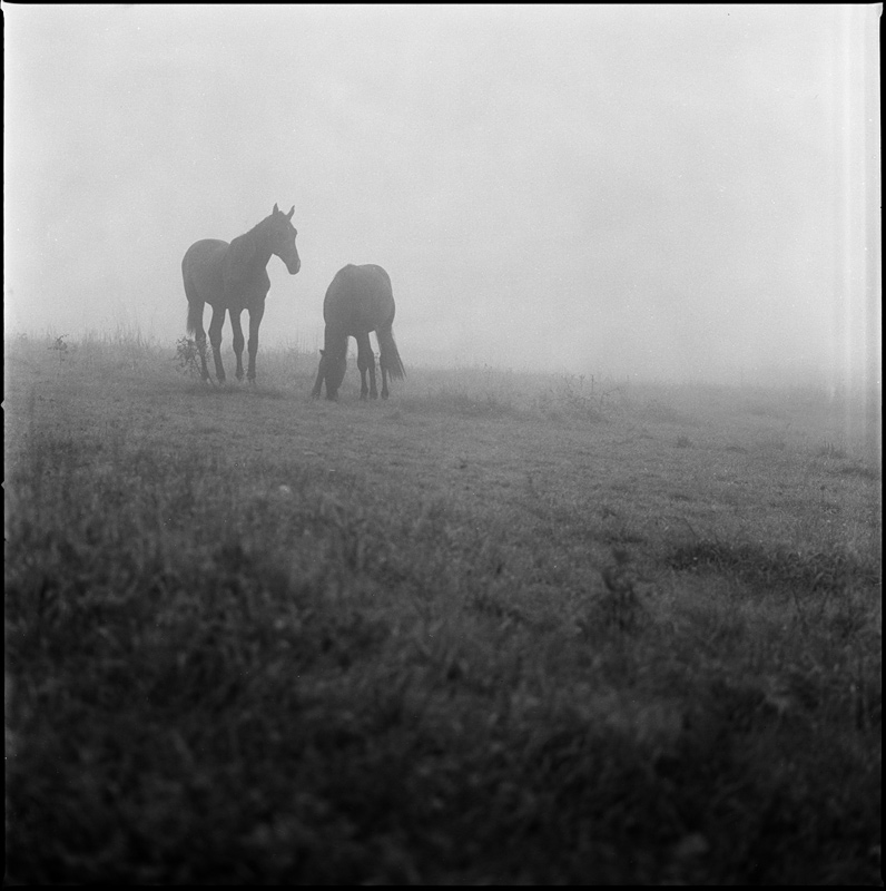 Fog #4 by Stefan K0n@th