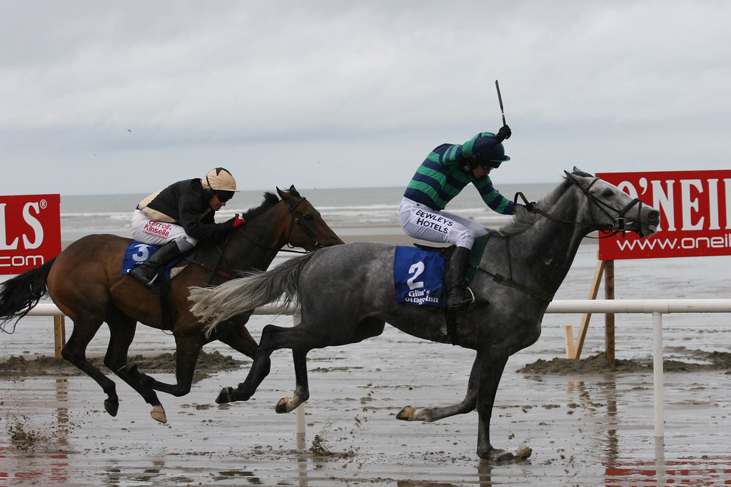 Laytown | Action from Laytown races. Caption: Gary Fox | Gary Fox | Flickr