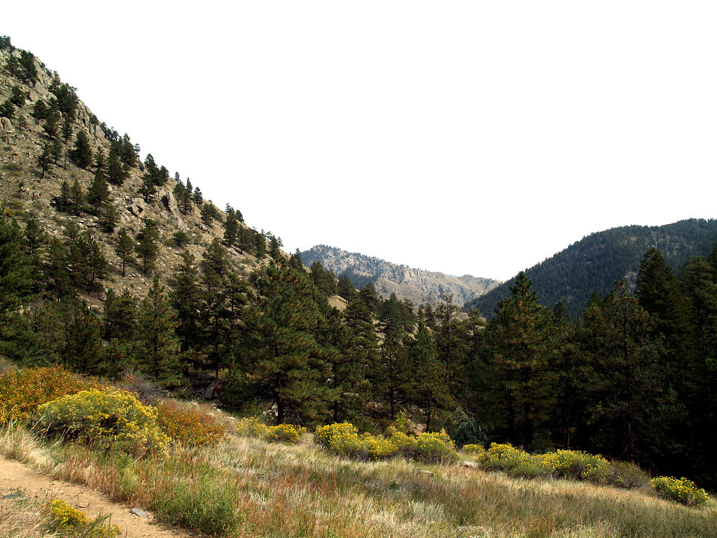 Greyrock Meadows