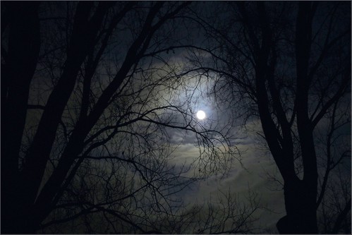 Full moon by Torsten Reuschling