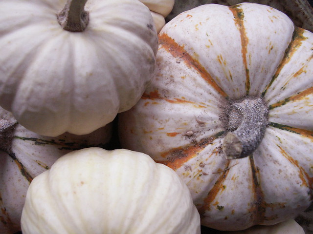 pumpkins 2