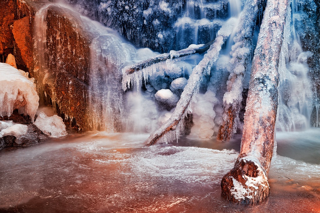 Avalon Freeze