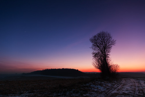 night star tree sky road landscape poland hnatkowice województwopodkarpackie polska trójczyce