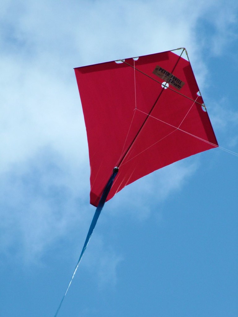 PETER POWELL Stunt Kite MKIII BLACK Adults Kids Outdoor Sport Toy