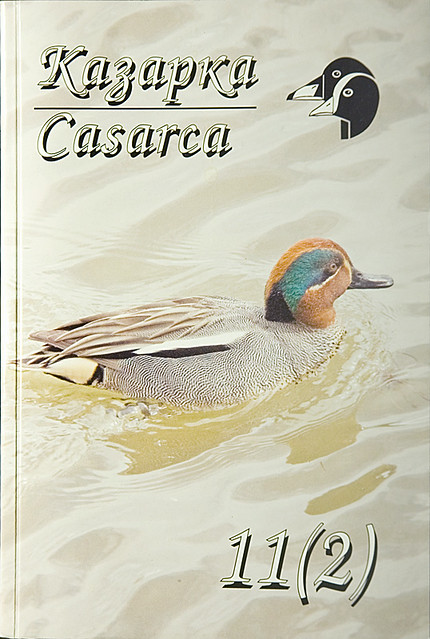 Common Teal on the cover