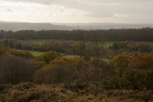 View from Black Down 