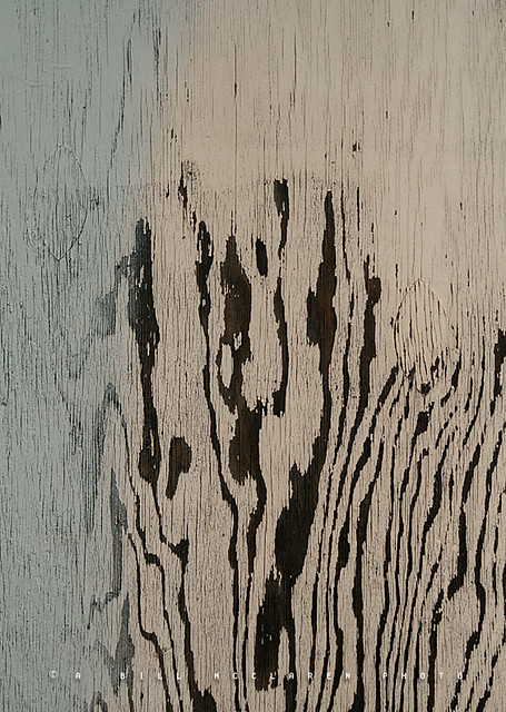wood_weathered